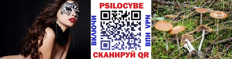 наркотики  Никольск  Галлюциногенные грибы Psilocybine cubensis 